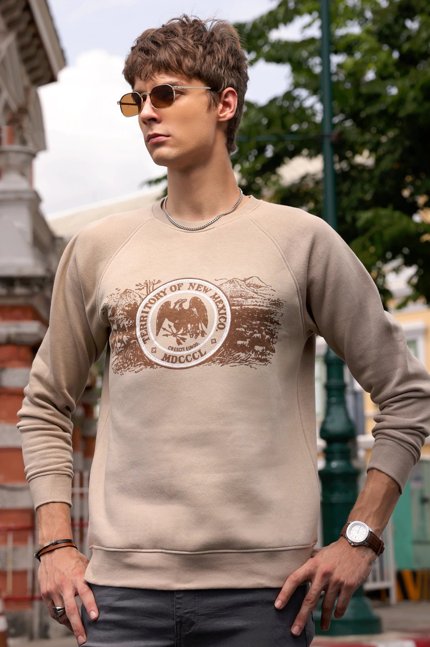 Sand Graphic Printed Sweatshirt